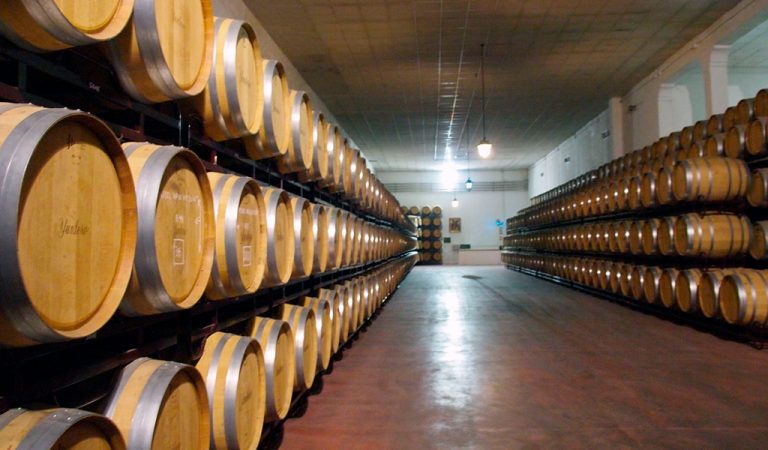 Hầm rượu vang tiêu chuẩn của Chile 