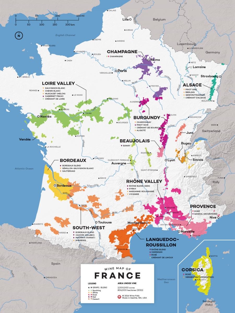 Khám phá bản đồ rượu vang Pháp